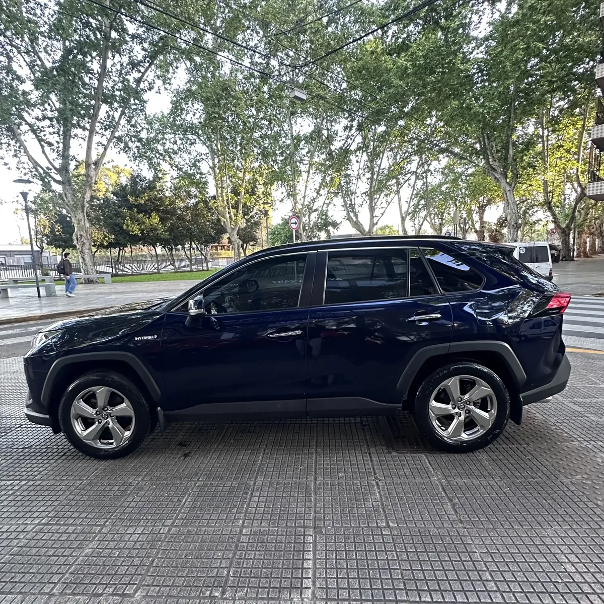 
								Toyota Rav4 Hibrid 2.5 Hv Limited 4×2 At full									